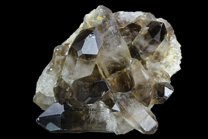 Dark Smoky Quartz Crystal Cluster - Brazil #124589